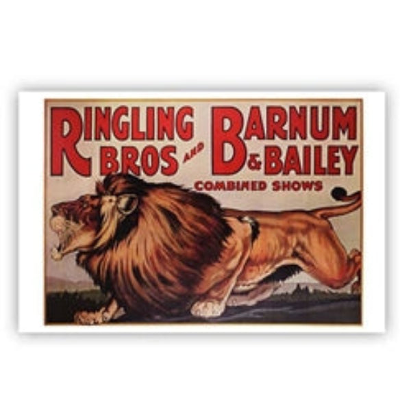 Ringling Bros. and Barnum & Bailey Lion Poster – Official Ringling